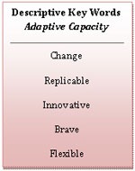 Text Box: Descriptive Key Words  Adaptive Capacity     Change  Replicable  Innovative  Brave  Flexible  